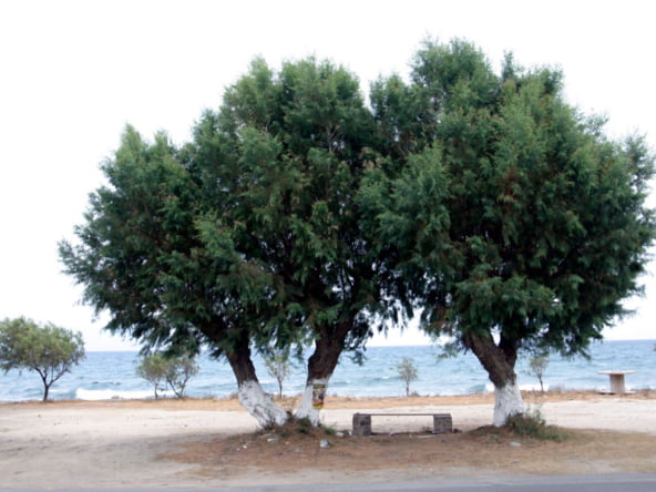 Παραλίες Κυθήρων agia pelagia-7