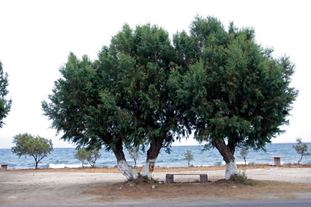 Αγια πελαγια κυθηρα