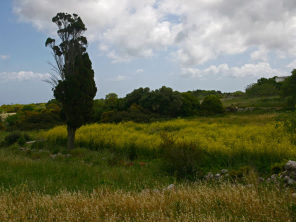 Φράτσια κυθηρα