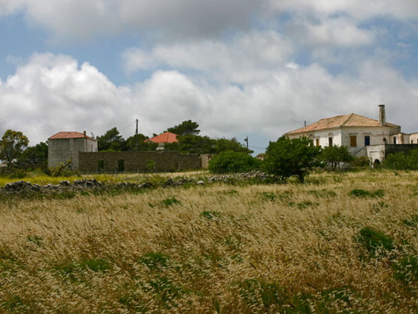 Φράτσια κυθηρων