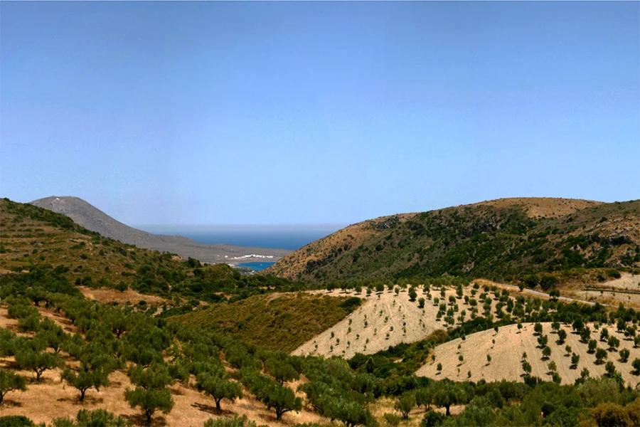 Φυσικές περιοχές Κυθήρων Ελαιώνες