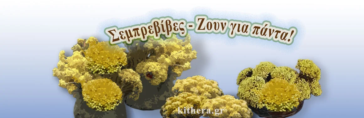 Τοπικά προϊόντα Κυθήρων 3 Σεμπρεβίβες Κύθηρα