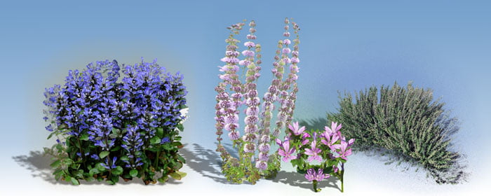 Χλωρίδα Κύθηρα