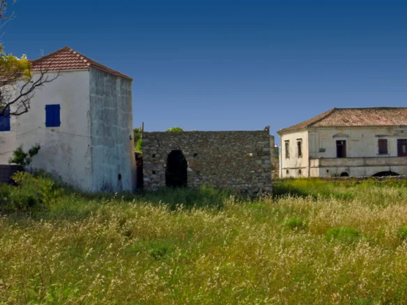 Fratsia Kythira