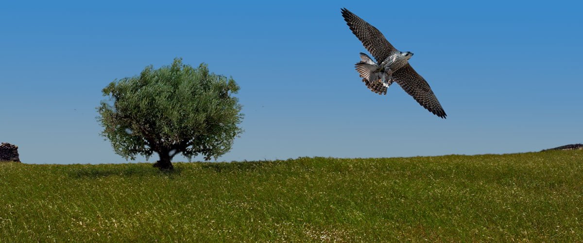 Άνοιξη στα Κύθηρα 1 φύση στα κυθηρα