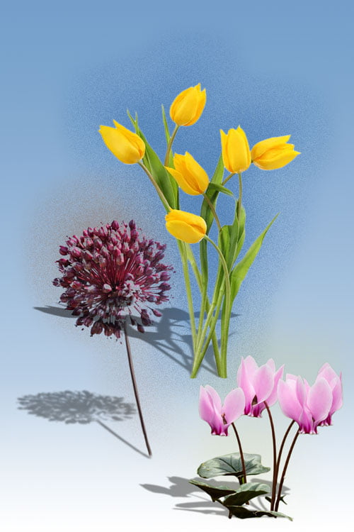 Λουλούδια κυθηρων