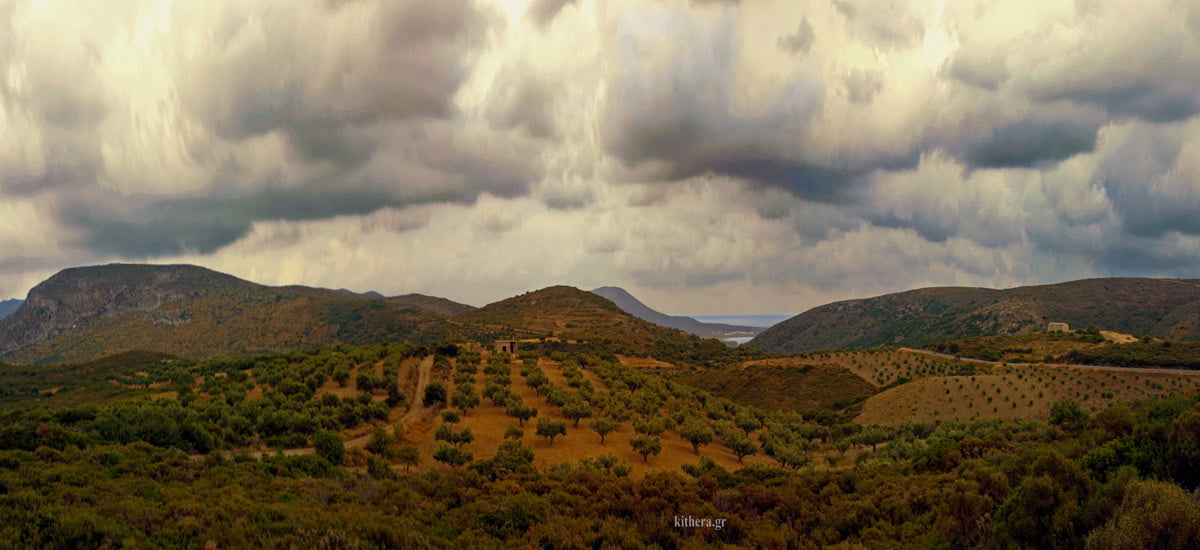 Ελαιώνας στα Κύθηρα